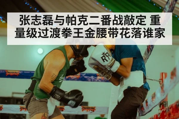 张志磊与帕克二番战敲定 重量级过渡拳王金腰带花落谁家