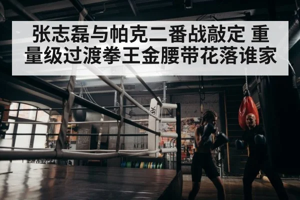 boxer training