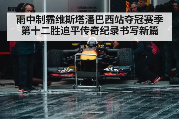 Red Bull racing team